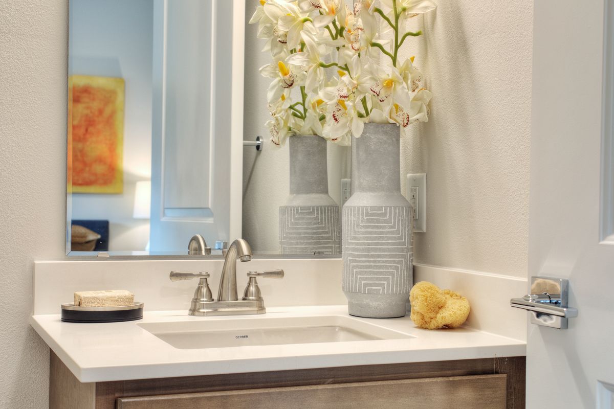 Home Alder Walk Puyallup, WA