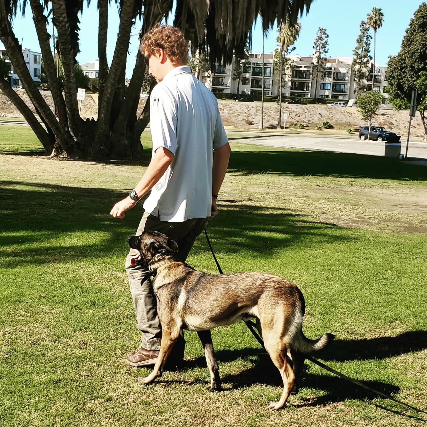 A man standing next to a dog on a leash