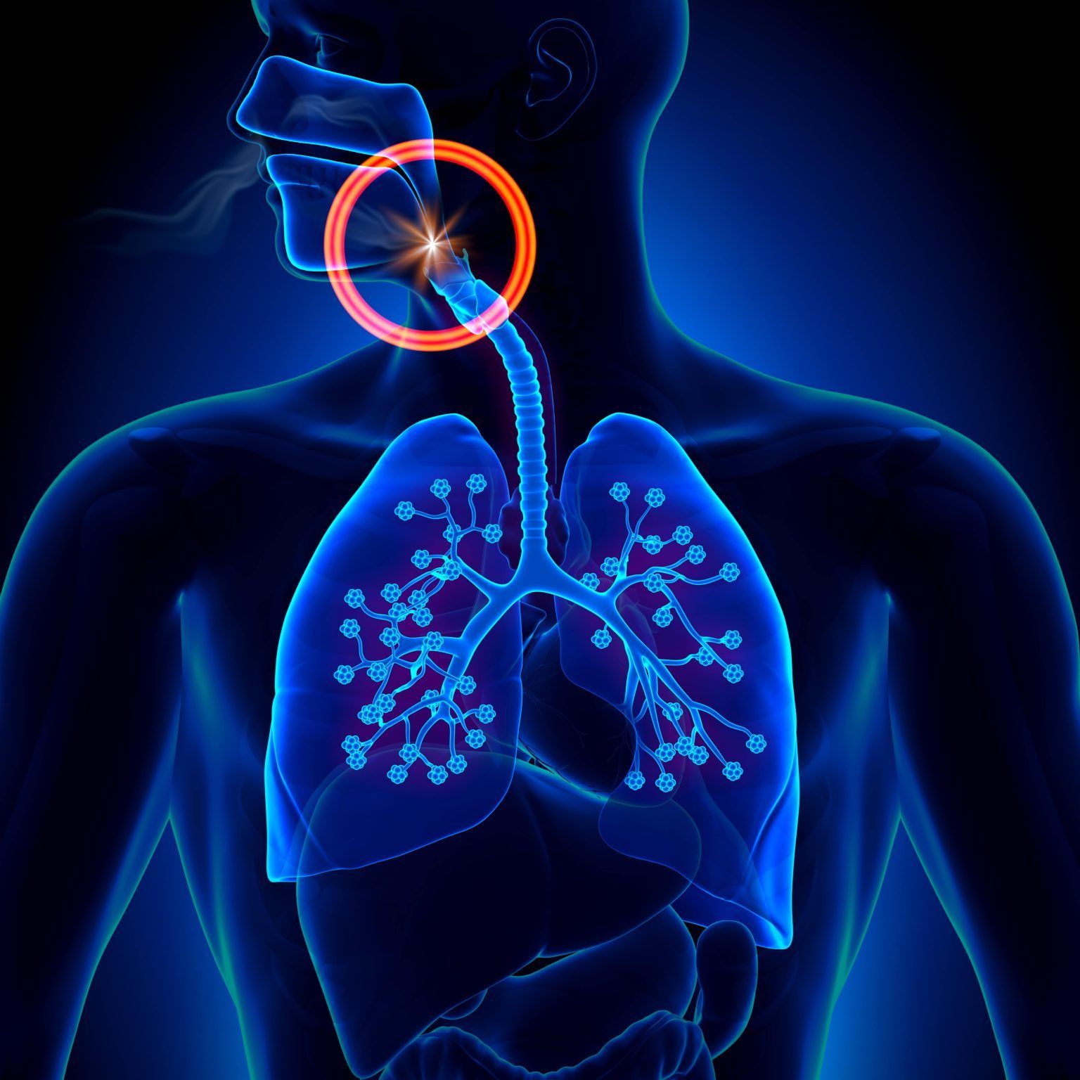 cause of sleep apnea | Sleep apnea dentist in Monroe Township, NJ providing solutions for better sleep and health.