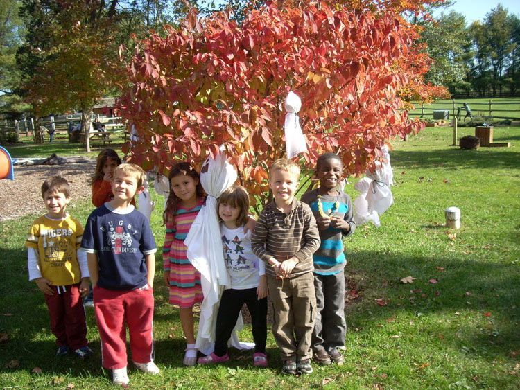A group of children in costumes are walking down a street