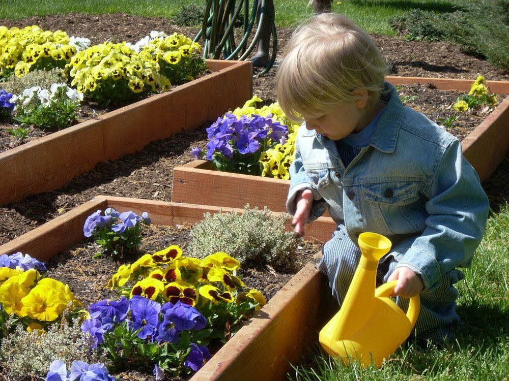 A little boy is watering flowers in a garden with a yellow watering can