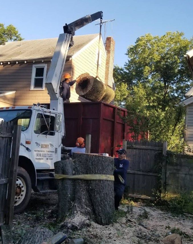 Crane loading a large tree stump into a dump truck in a residential yard