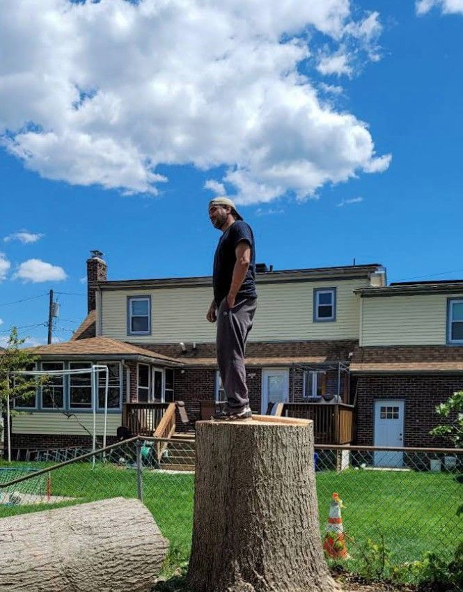 Person standing on a large tree stump in a backyard under a blue sky with clouds