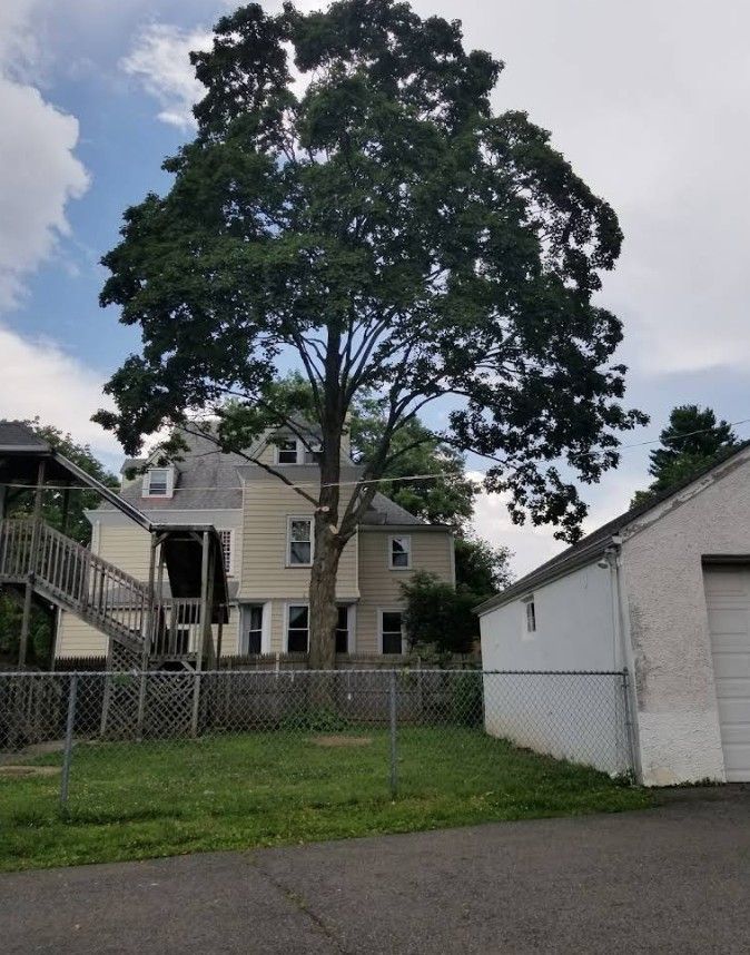 Large leafy tree in a backyard beside a beige house, white garage, and chain-link fence under a cloudy sky