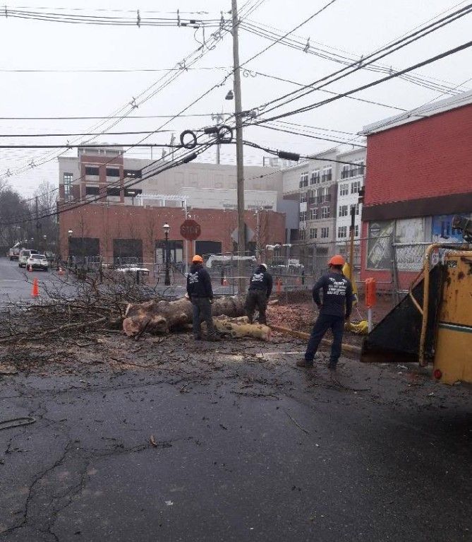 Workers clearing fallen tree branches from a wet street near power lines and buildings, with caution cones nearby