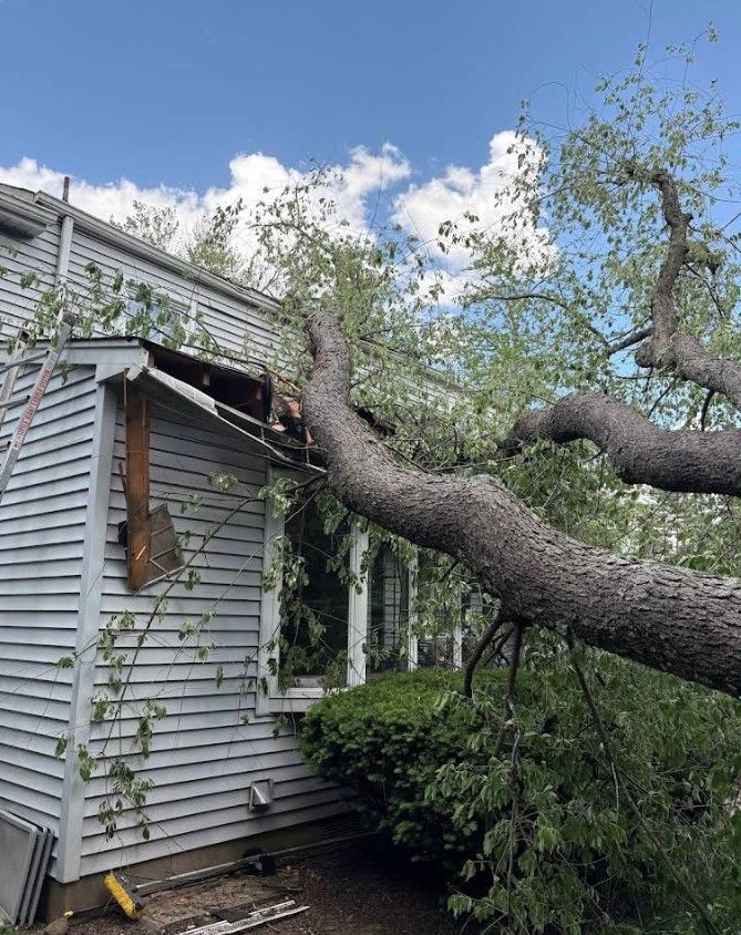 Large fallen tree branch leaning against a gray house under a blue sky