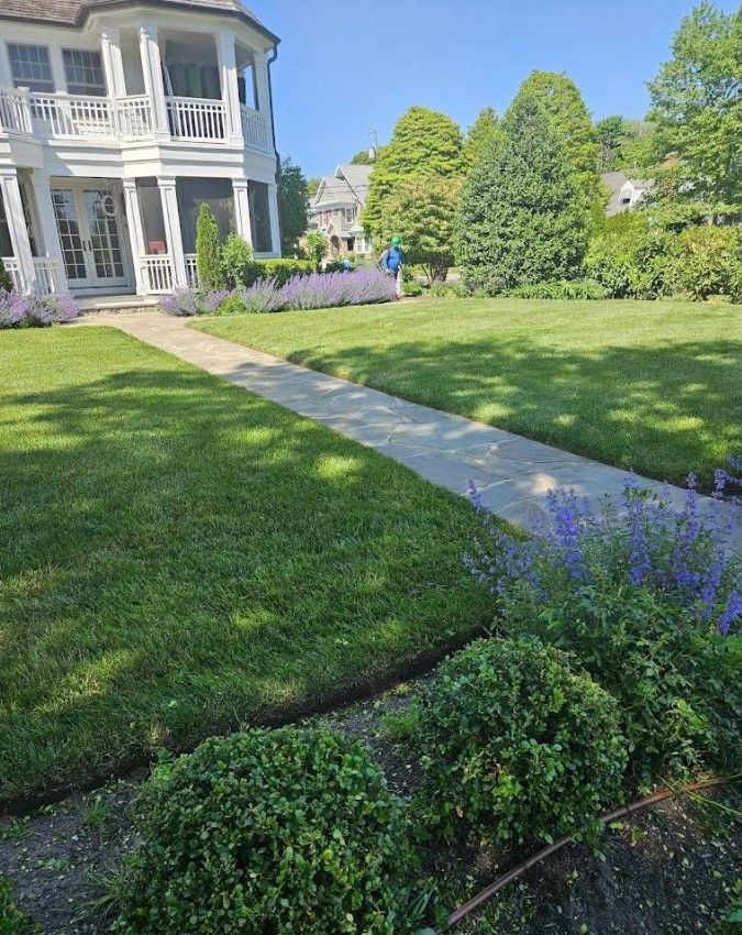 House with white porch beside a sunlit lawn and garden path, with purple flowers in the foreground