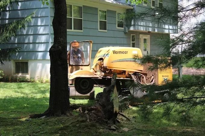 Yellow stump grinder parked on a grassy yard beside a house, partially hidden by trees.