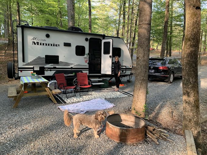 A dog is standing in front of a rv parked in the woods.