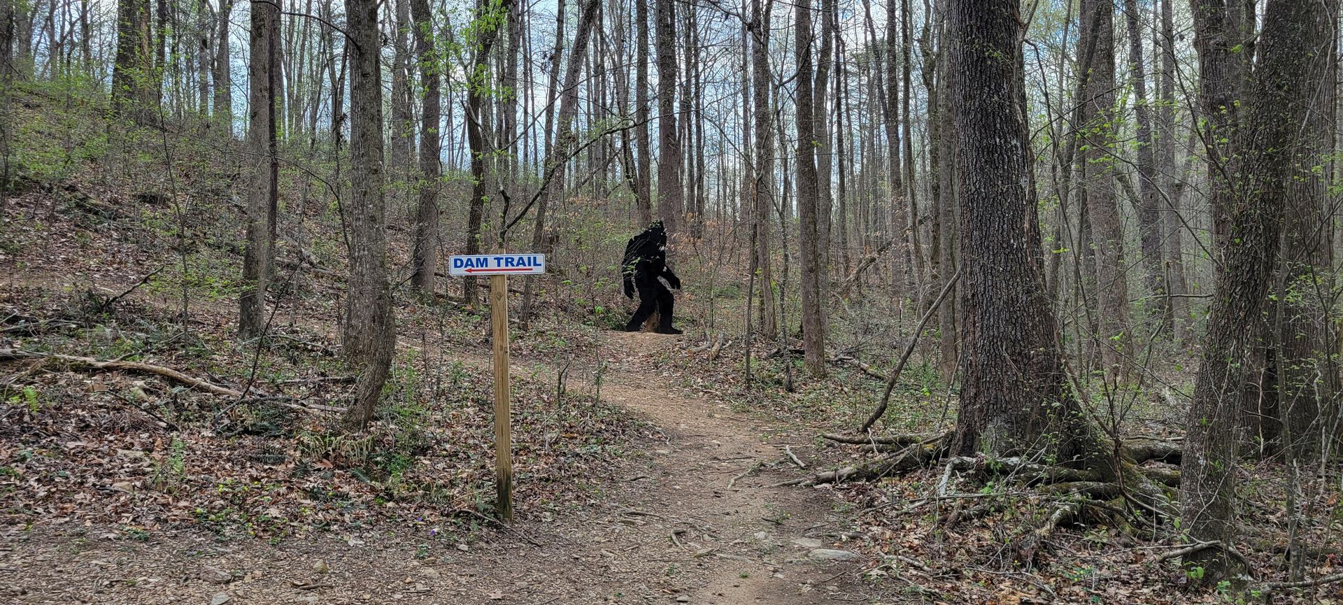 A bigfoot is walking down a trail in the woods.