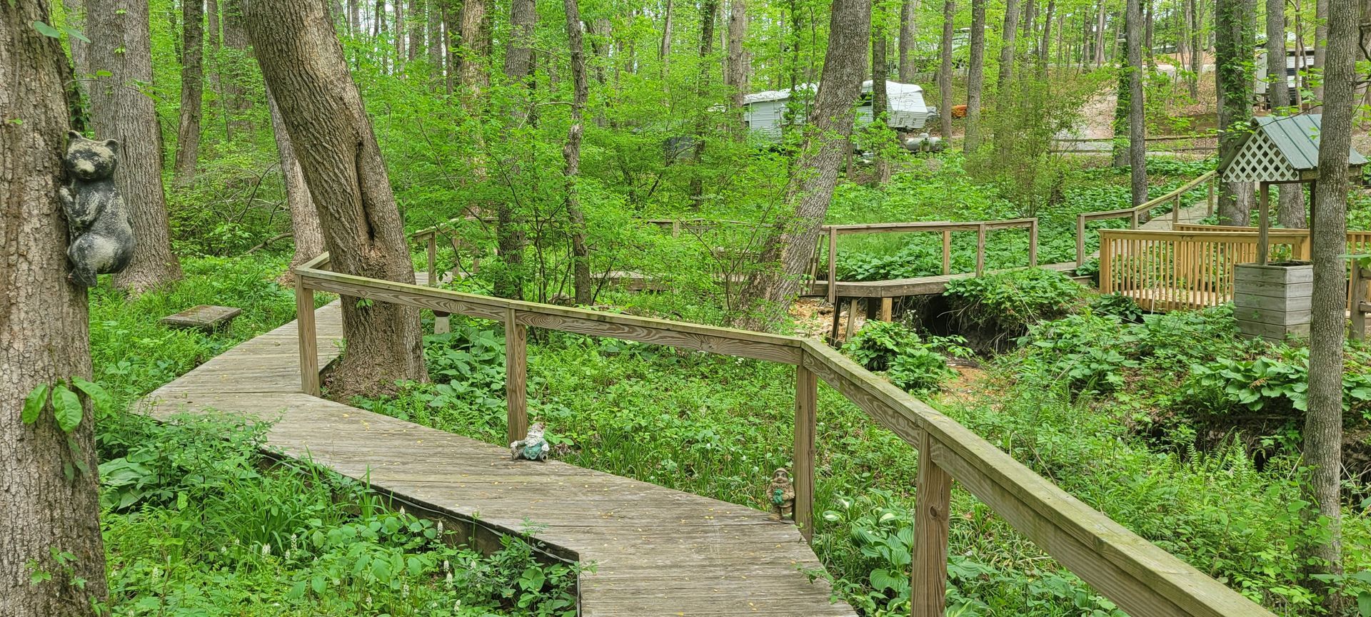 A wooden walkway in the middle of a forest