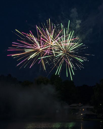 A fireworks display in the night sky over a body of water