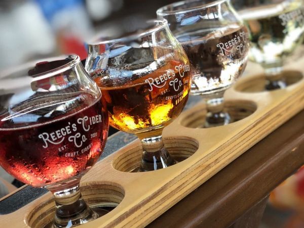 Four glasses of hard cider are lined up on a wooden tray.