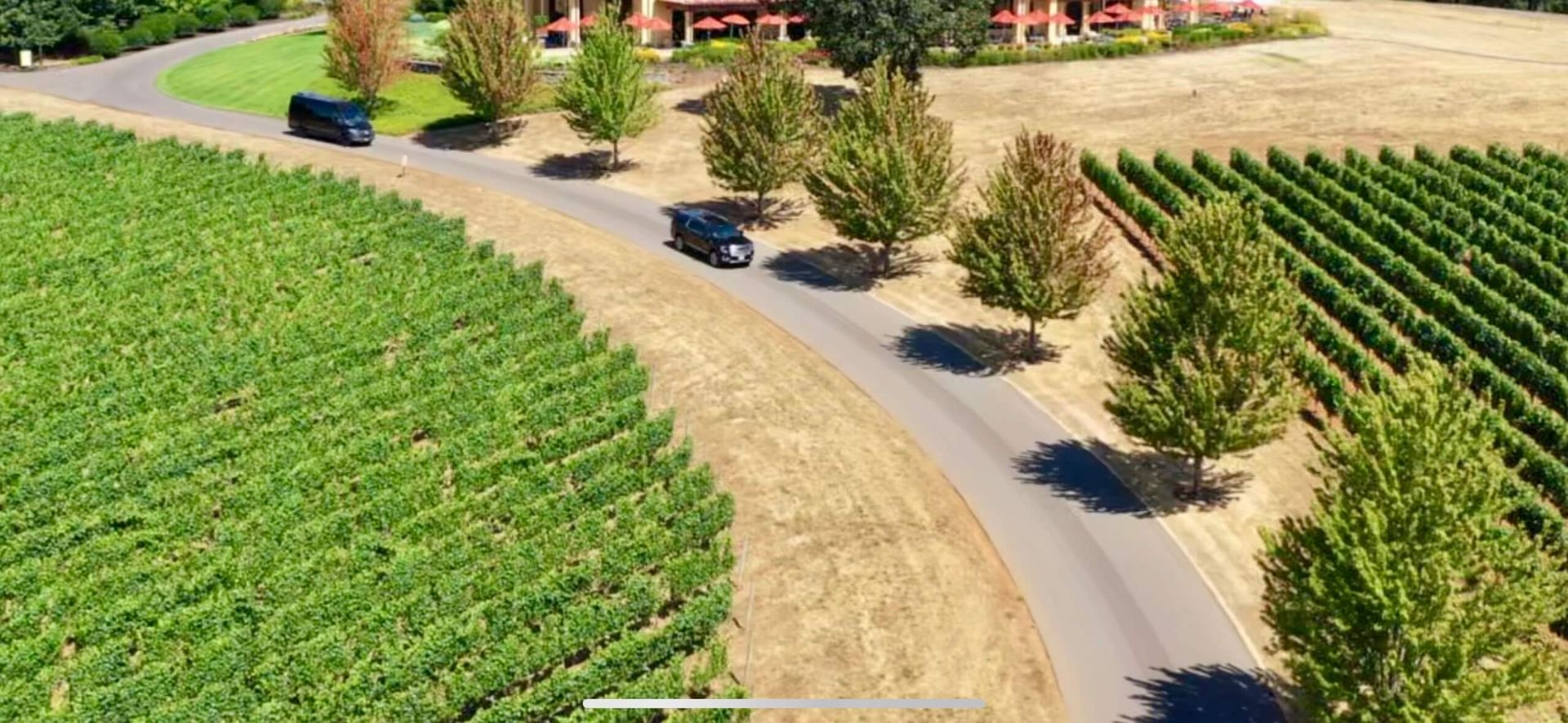 Private wine tours in Oregon with All Star Town Car