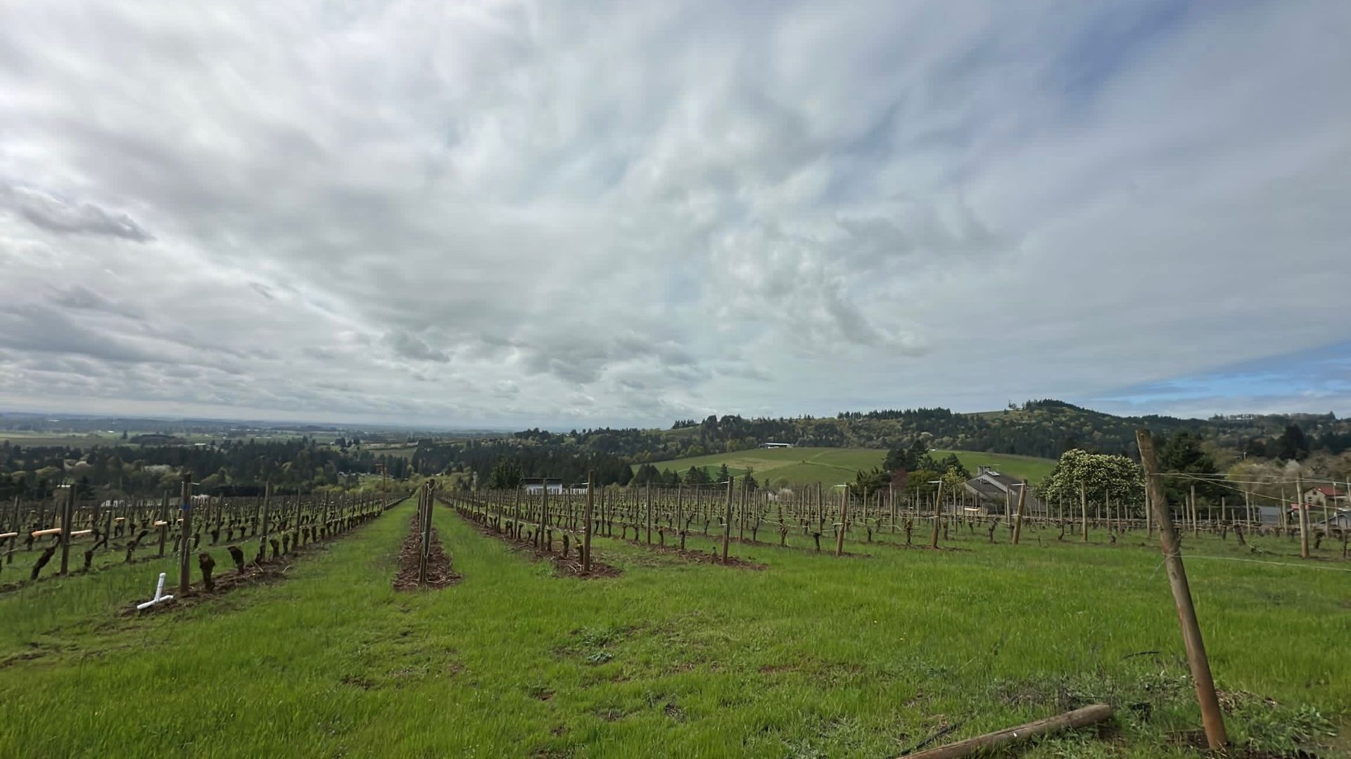 Luxury wine tasting tours in Oregon