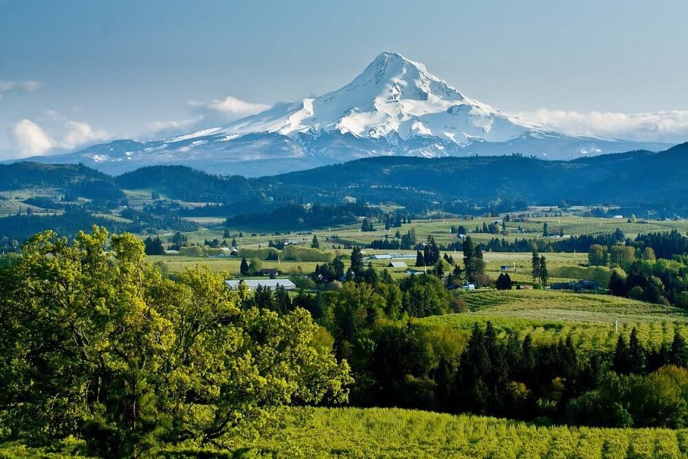 Town car departing Hillsboro for a Willamette Valley wine tasting tour