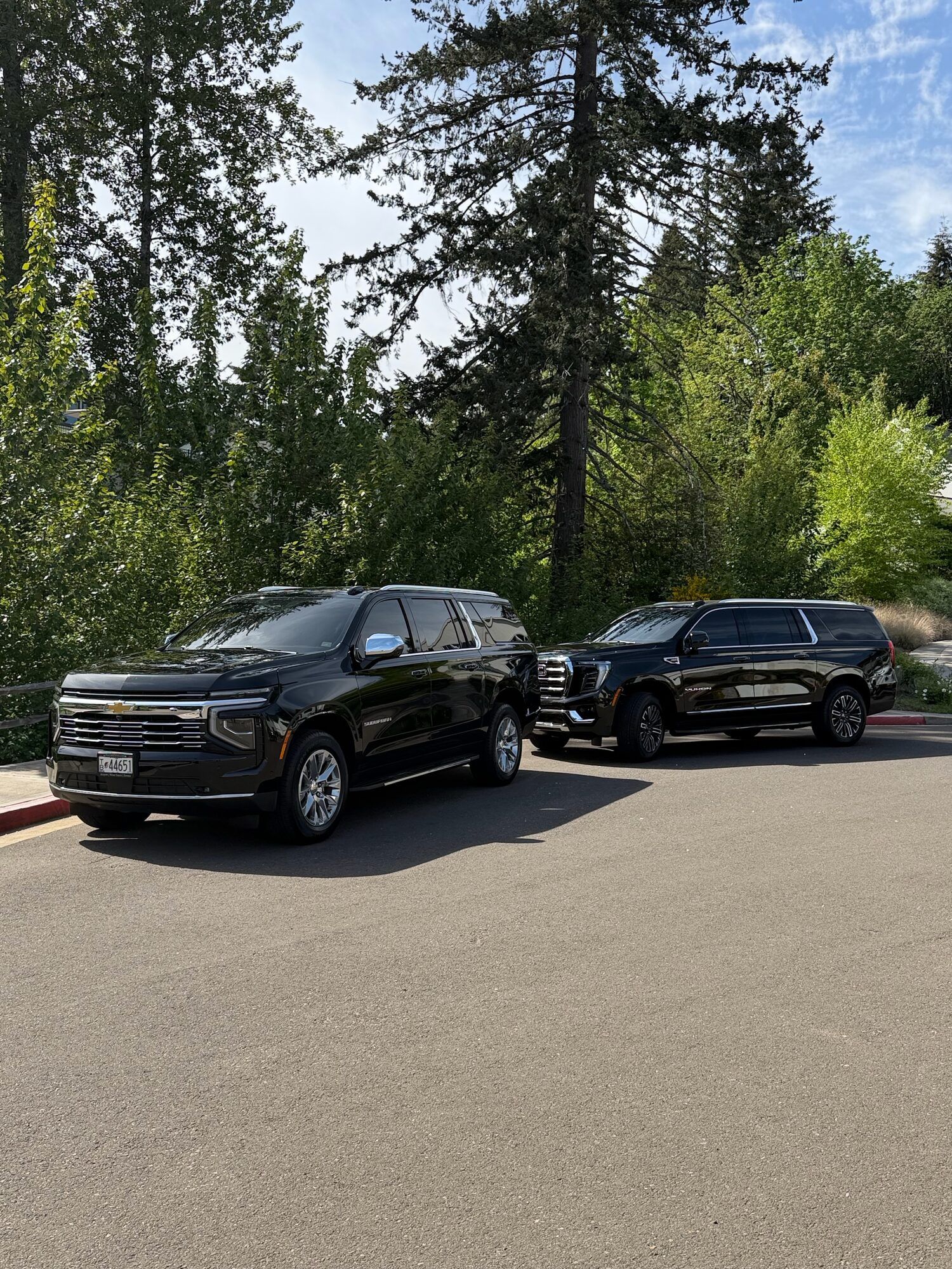 Black Chevrolet Suburban and GMC Yukon XL parked under tall evergreens before a Willamette Valley wine tour from Portland