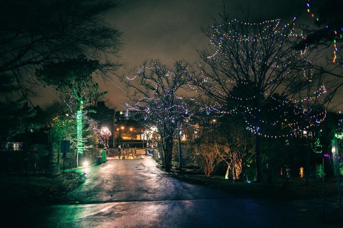 Christmas lights limo tour Portland Oregon