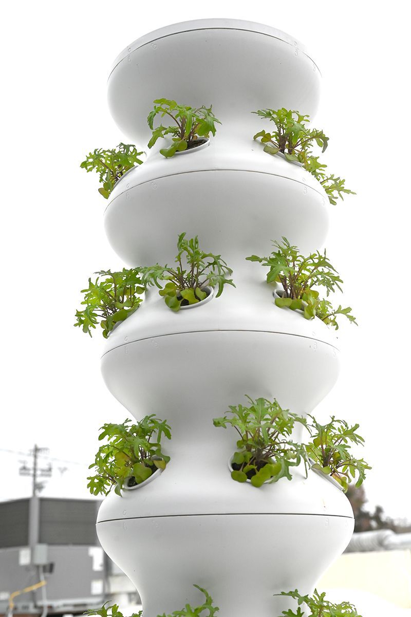 Vertical white stacked planter with green plants growing from side openings outdoors