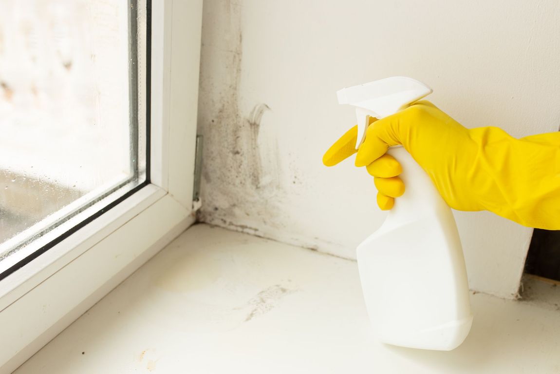 Spraying Anti Mold Agent