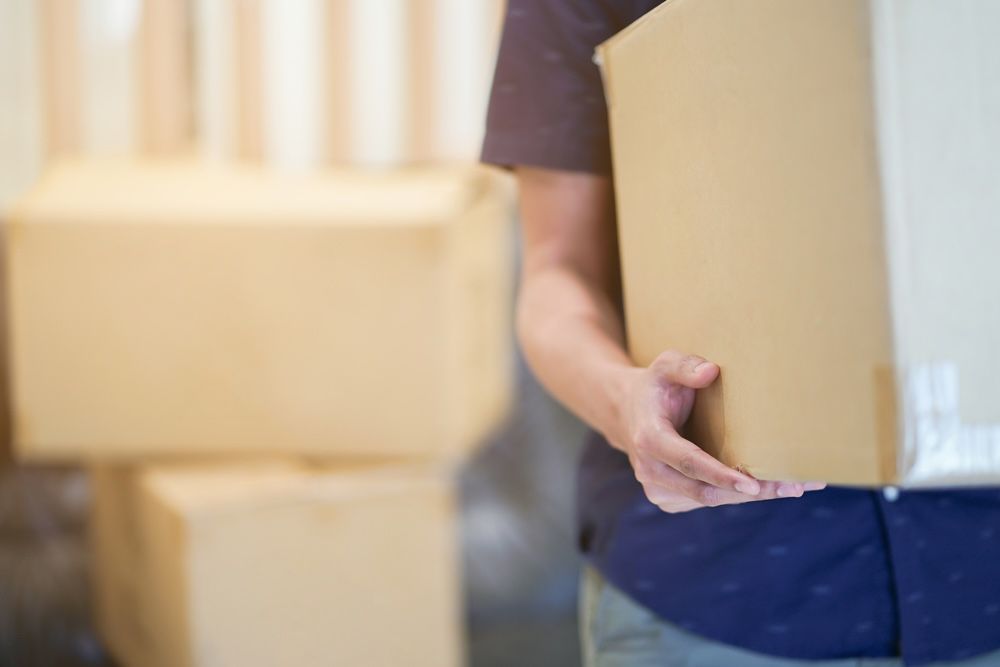 A Man is Holding a Cardboard Box — Ready To Move in Brunswick Heads, NSW