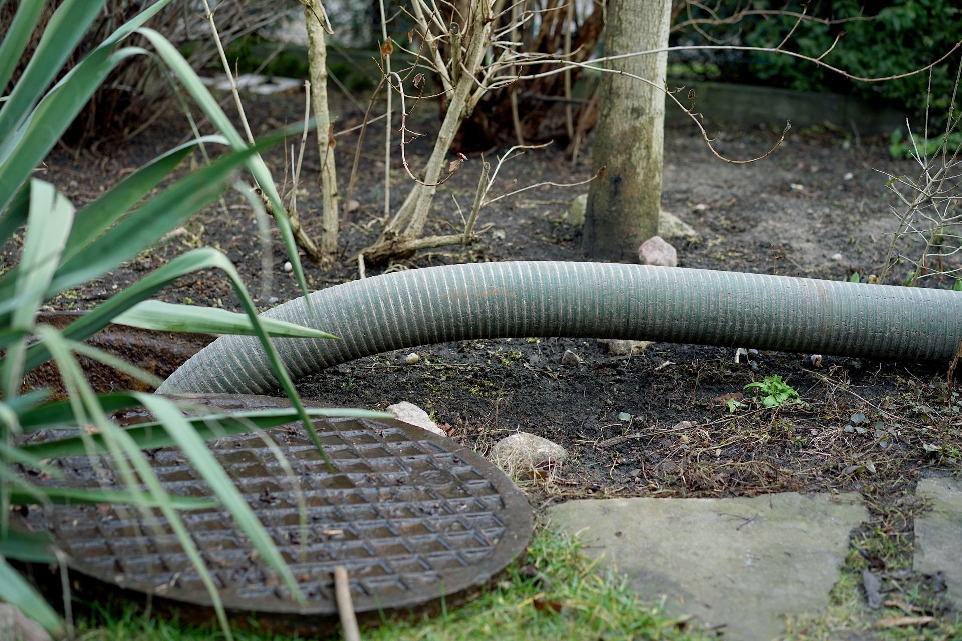 A large vacuum hose connected to a residential tank for professional septic system pumping. A large vacuum hose connected to a residential tank for professional septic system pumping.