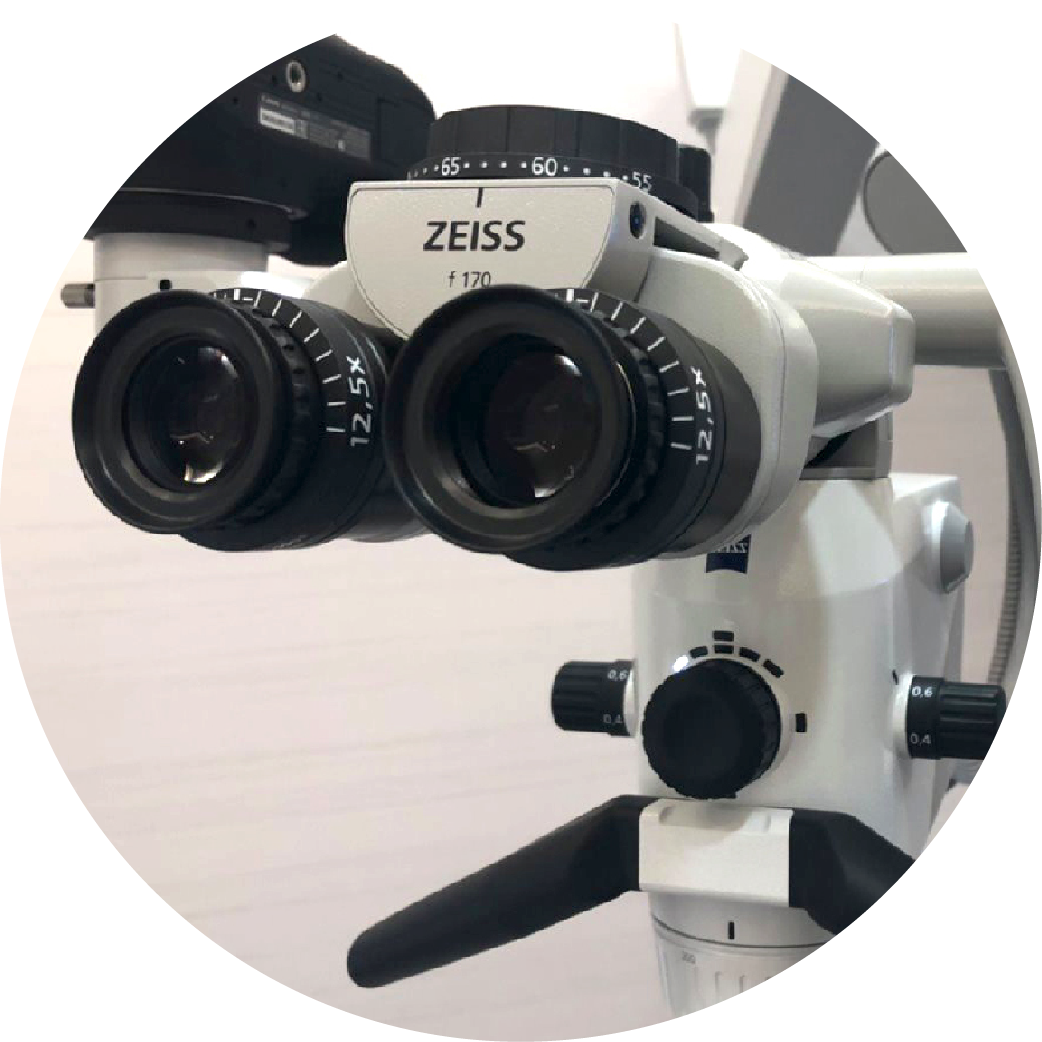 A close up of a zeiss microscope in a circle