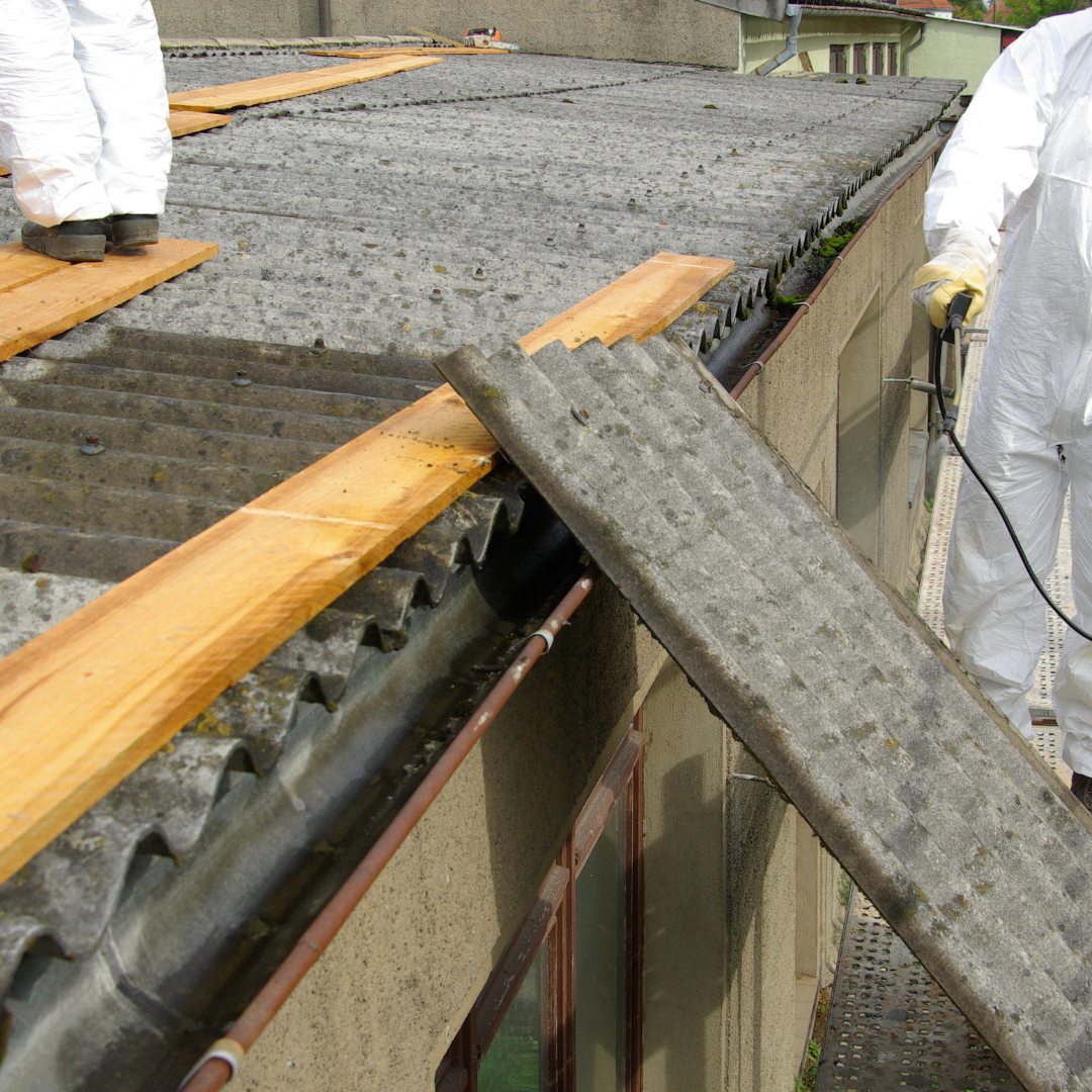 asbestos and mold services