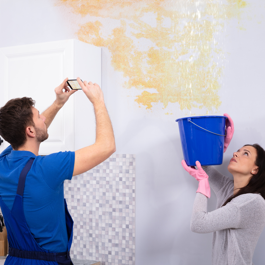 complete water damage services