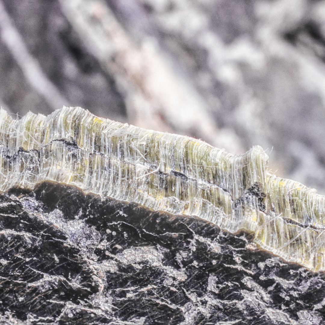 asbestos and mold services