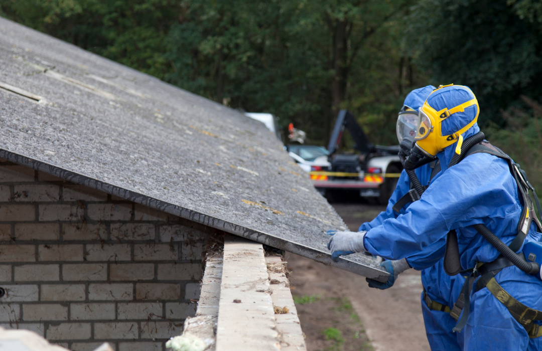 mold abatement company