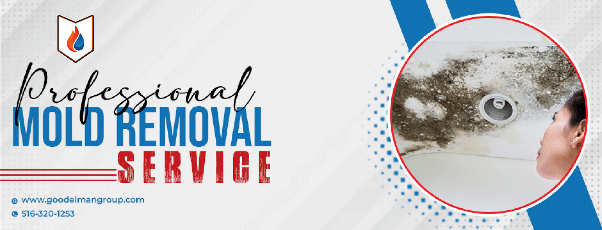 professional mold removal service