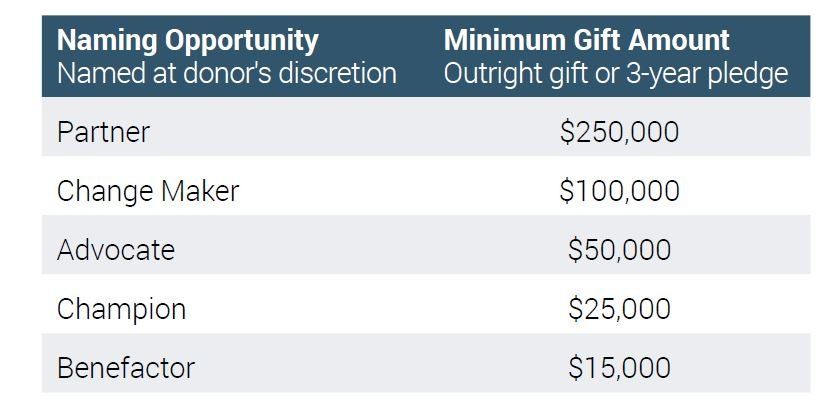 A table showing the minimum gift amount for a 3 year pledge