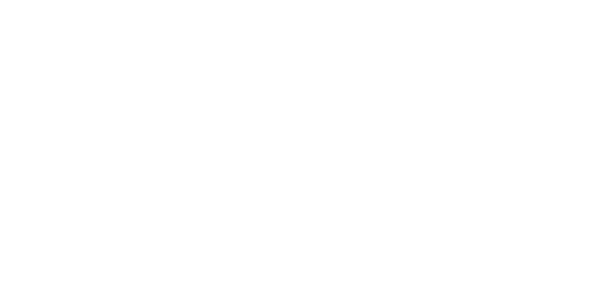 IPX Logo Header