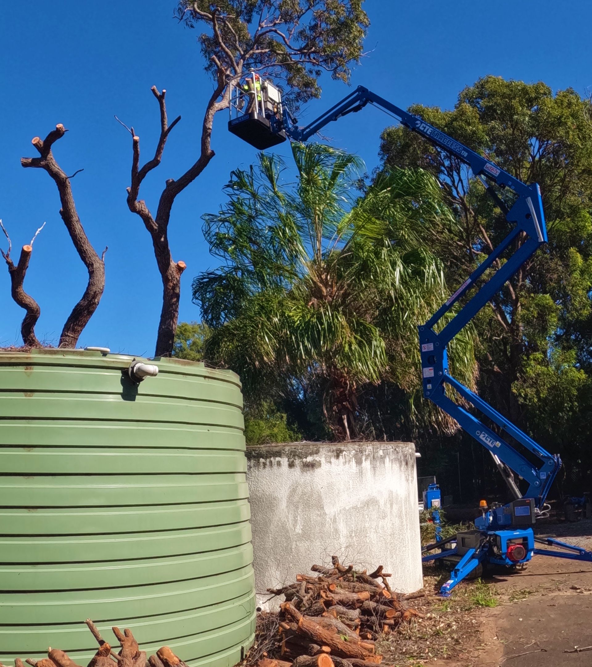A blue crane is cutting a tree next to a green tank