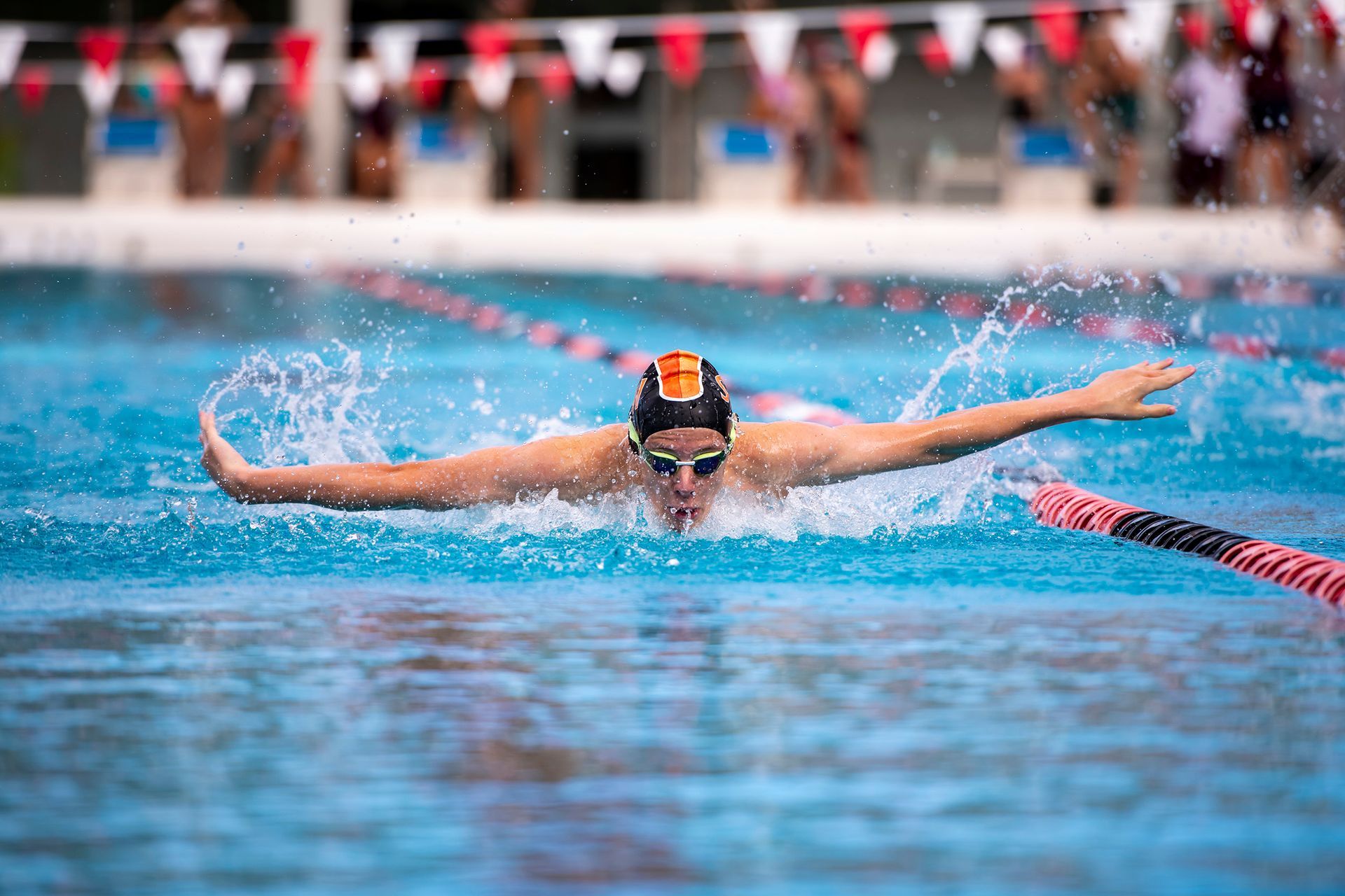 Butterfly Swimmer