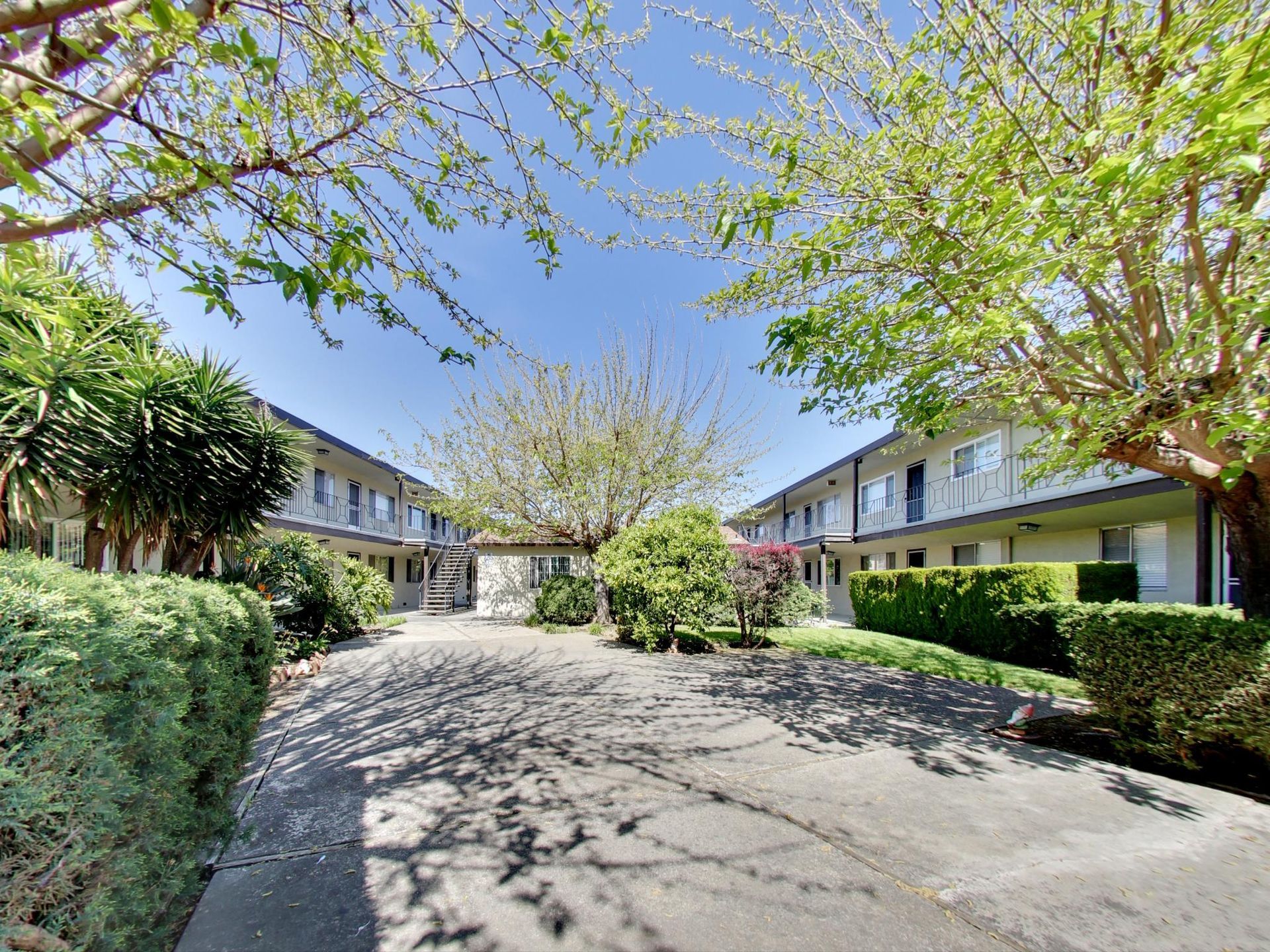 photo of lush courtyard