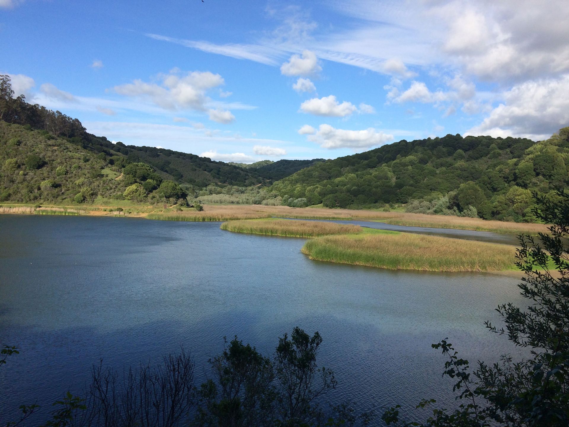 photo of lake