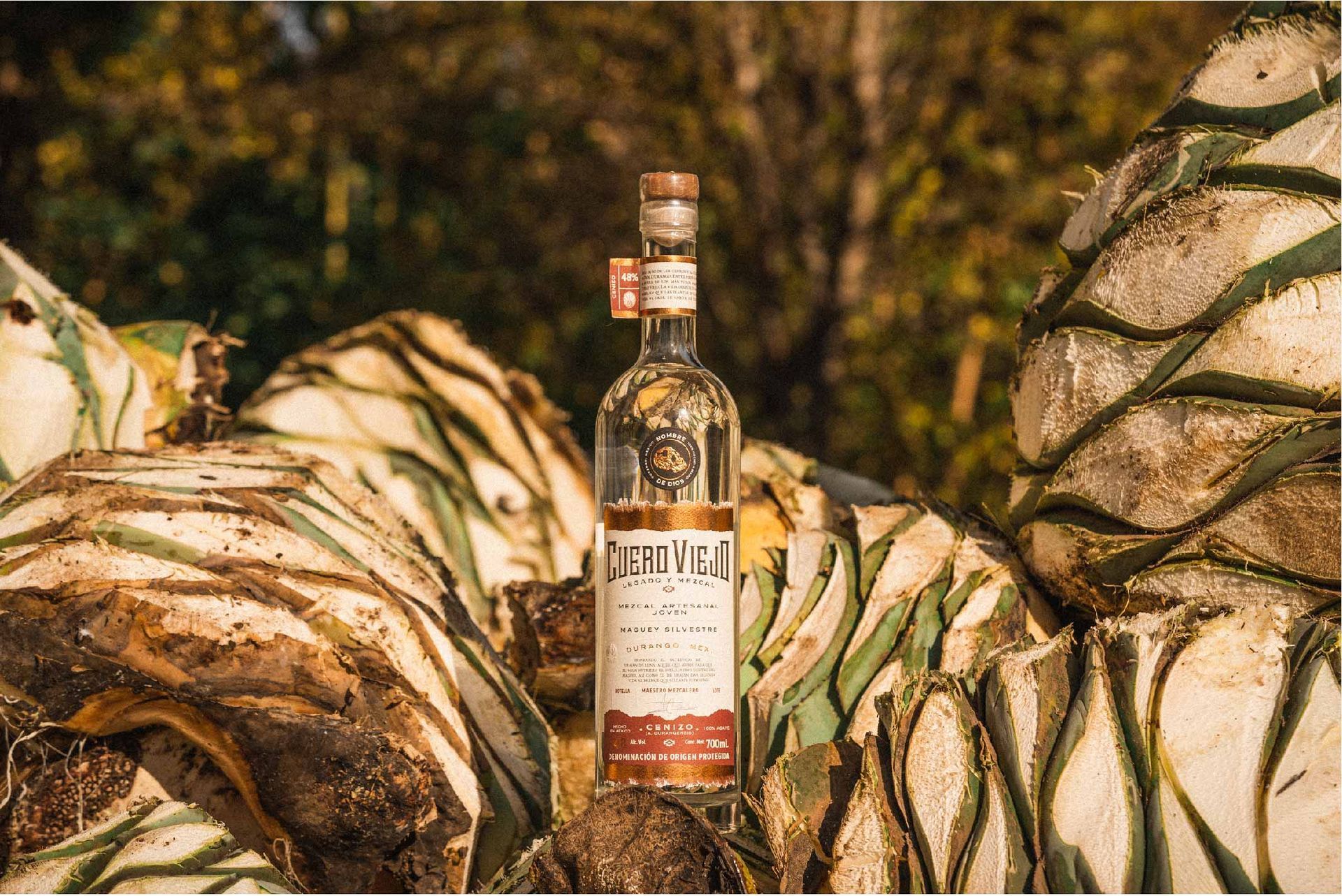 Botella de tequila expuesta entre plantas de agave cosechadas.