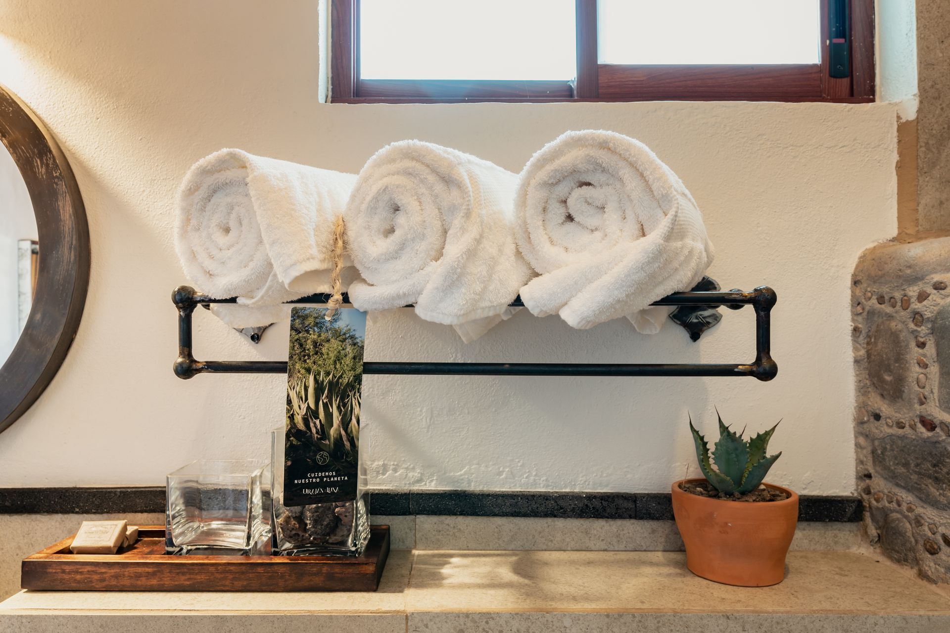 Rolled white towels on a black rack above a bathroom counter with a plant and other toiletries.