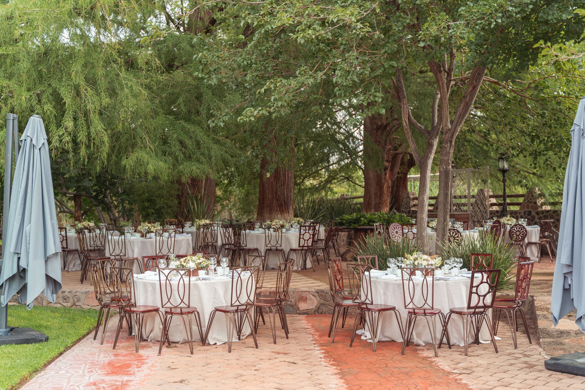 Outdoor event with round tables set for dining under trees; umbrellas to the sides.