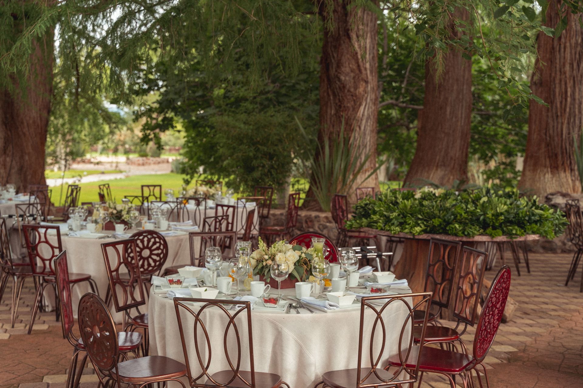 Tables set for an outdoor event under large trees, with red chairs and white linens.
