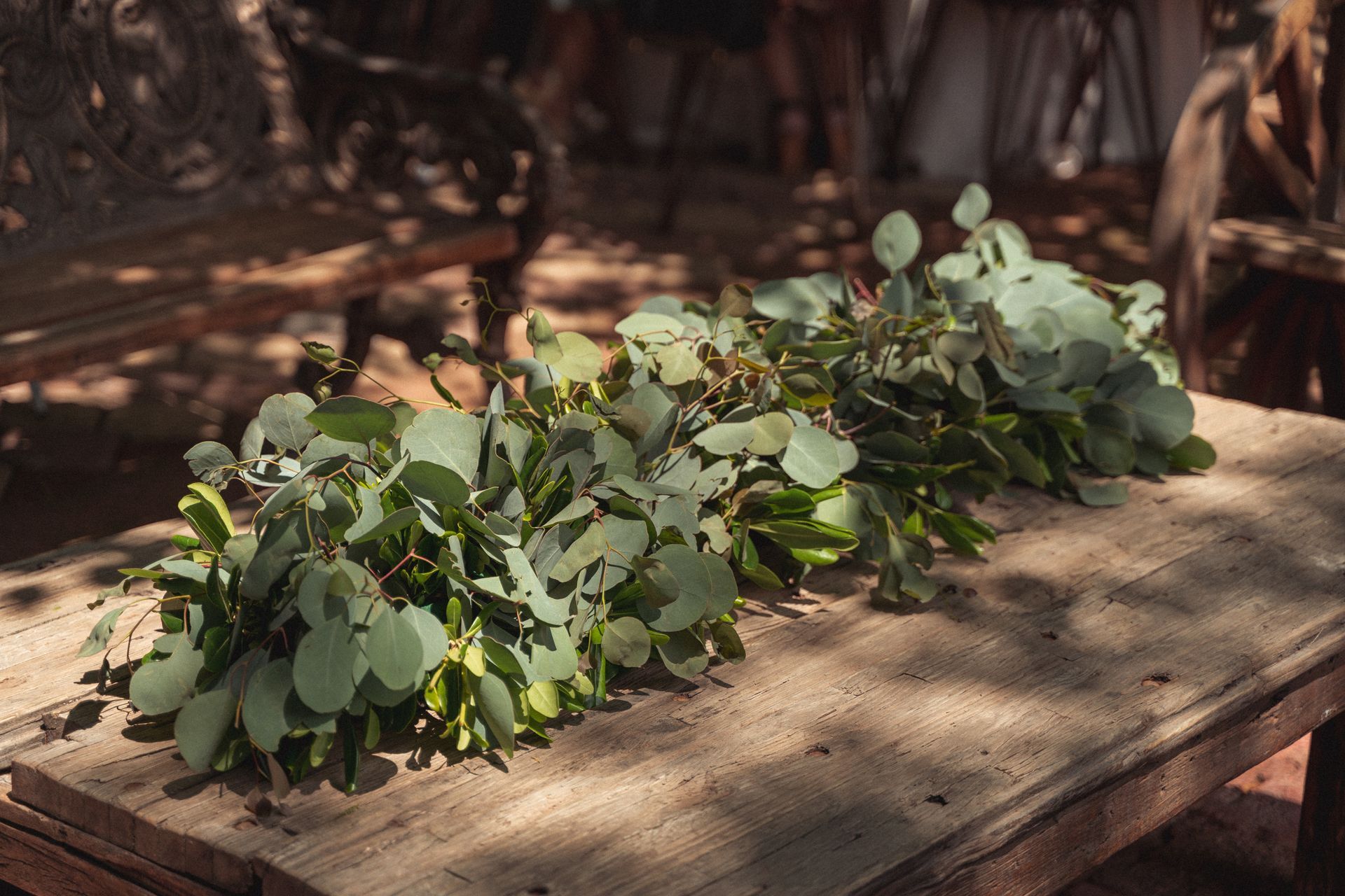 Eucalyptus leaves arranged on a rustic wooden table, with sunlight casting shadows.
