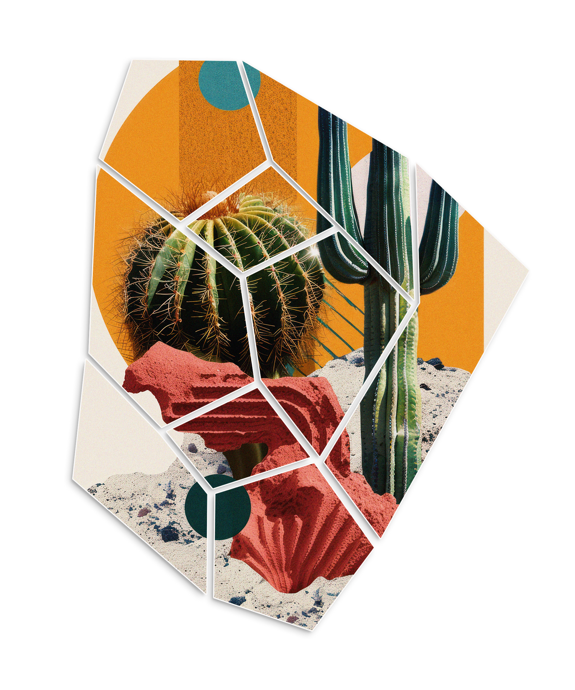 Cactus y plantas del desierto, con sol naranja y superposición geométrica.