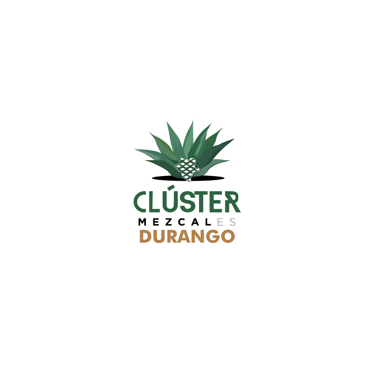 Logotipo de Clúster Mezcales Durango, que presenta una planta de agave en texto verde y marrón.
