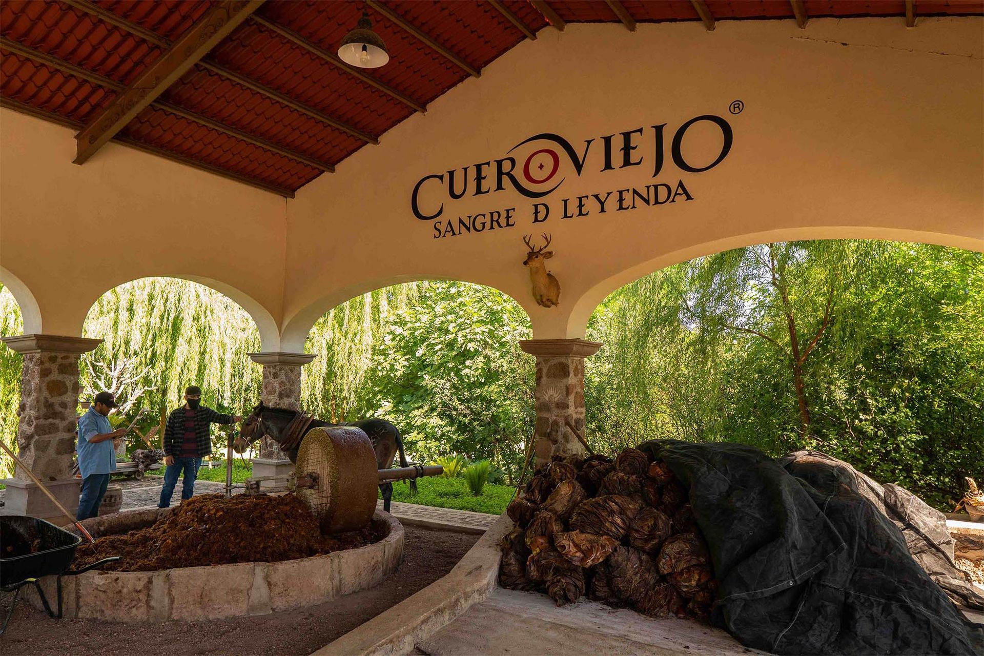 A tequila production area with the brand 