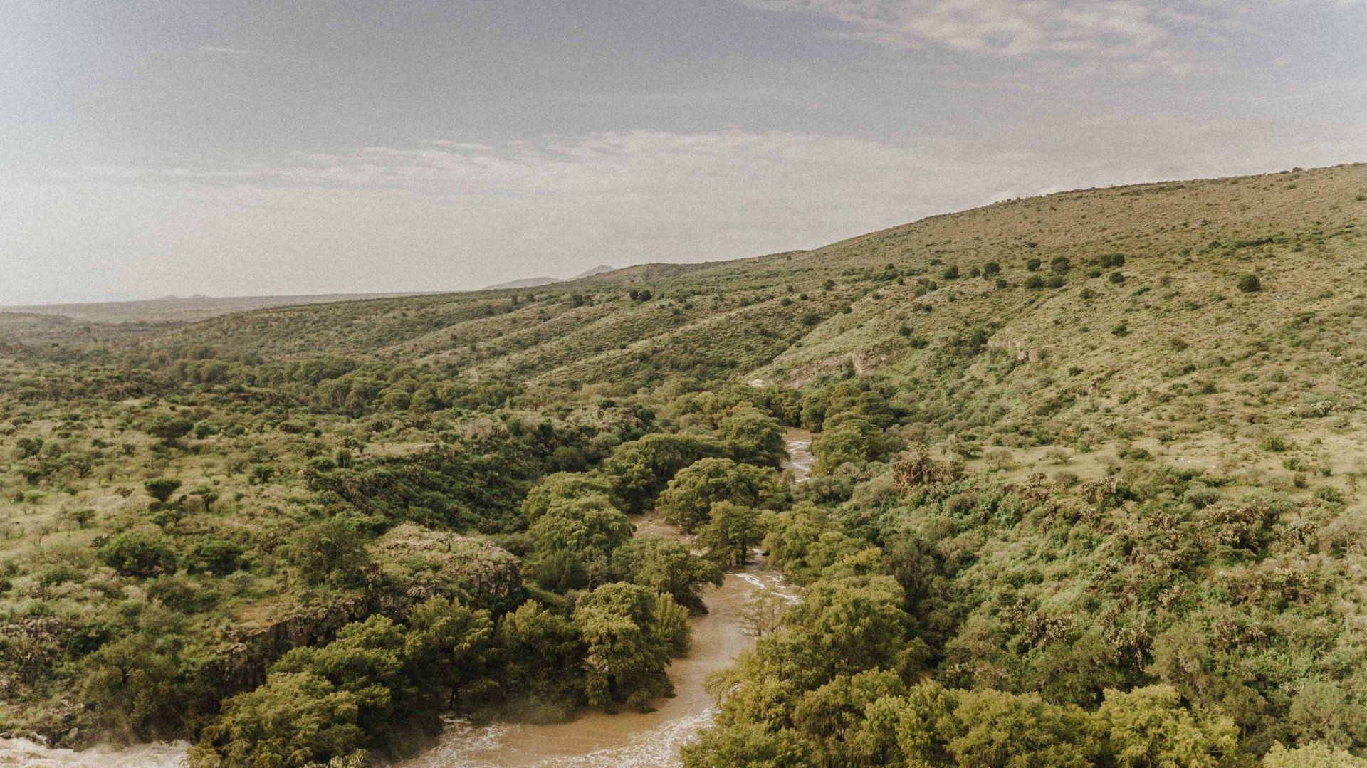 Aerial view of lush green hills and trees with a winding river flowing through them under a hazy sky.