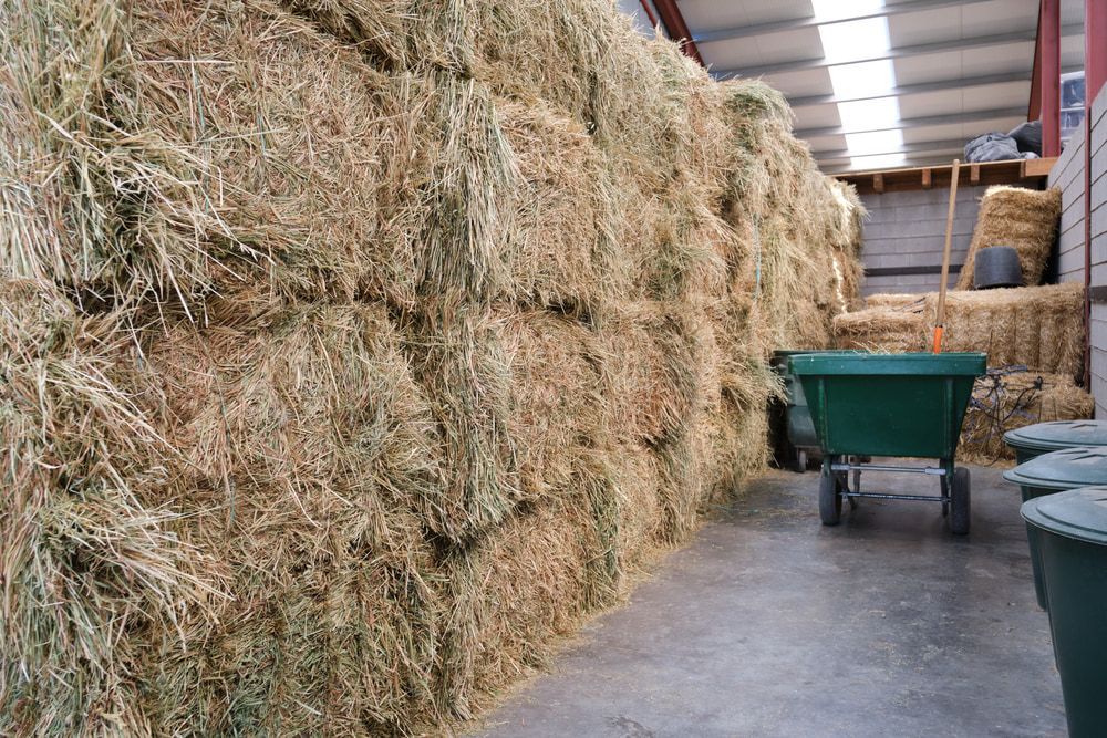 A large stack of hay bales inside a barn; a green wheelbarrow sits nearby — Farm and Home in Nabiac, NSW