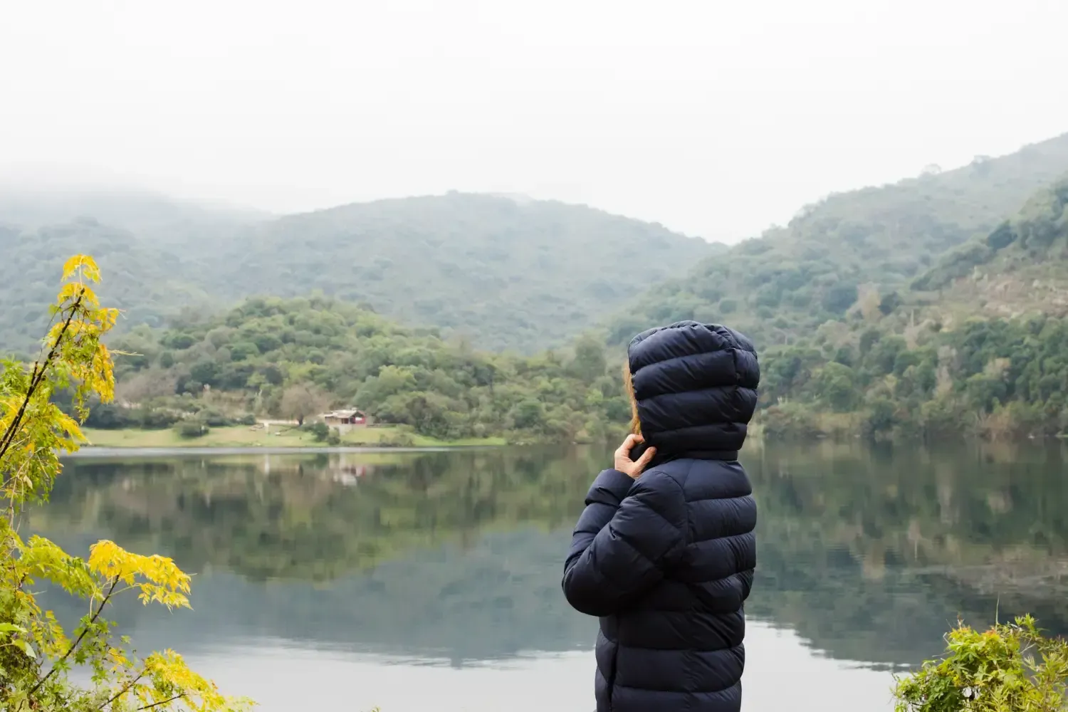 A woman in a coat with the hood up looks out over a body of water