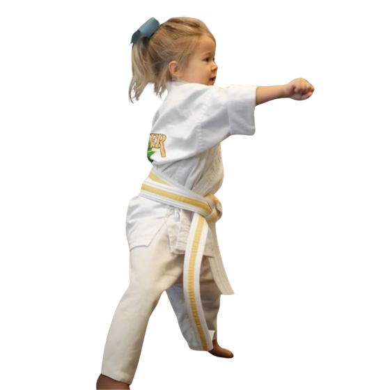 a group of children are practicing martial arts together .